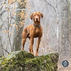 Baker bray vizsla for sale  Delivered anywhere in UK