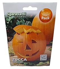 Semi zucca halloween usato  Spedito ovunque in Italia 