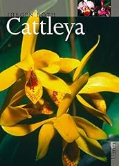 Cattleya mitarb . gebraucht kaufen  Wird an jeden Ort in Deutschland
