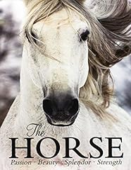 Horse passion beauty for sale  Delivered anywhere in USA 