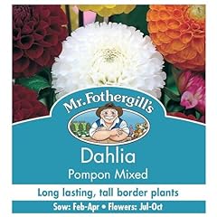 Fothergill 14600 dahlia for sale  Delivered anywhere in Ireland