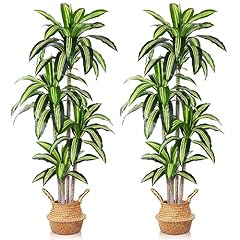 Ferrgoal artificial plants for sale  Delivered anywhere in USA 