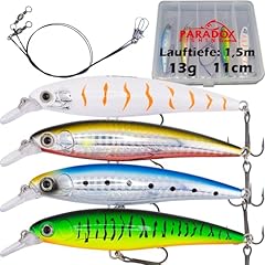 Paradox fishing premium gebraucht kaufen  Wird an jeden Ort in Deutschland