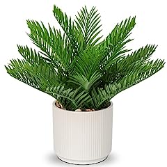 Dilatata faux plant for sale  Delivered anywhere in USA 
