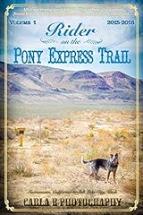 Rider pony express for sale  Delivered anywhere in USA 
