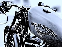 Jbsporty harley sportster for sale  Delivered anywhere in USA 