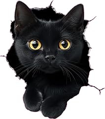Black manx cat for sale  Delivered anywhere in UK