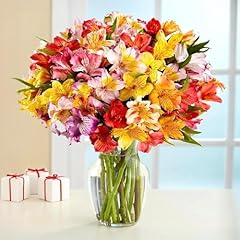 Multicolored alstroemeria bouq for sale  Delivered anywhere in USA 