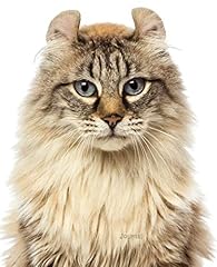 Journal american curl for sale  Delivered anywhere in USA 