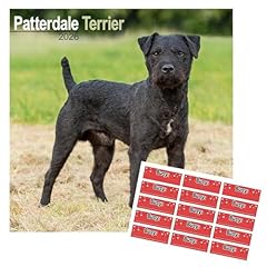 Patterdale terrier calendar for sale  Delivered anywhere in UK