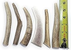 Big dog antler for sale  Delivered anywhere in USA 