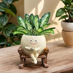 Cute smiling face for sale  Delivered anywhere in USA 