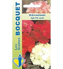 Sachet graines géranium d'occasion  Livré partout en France