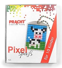 Pixel p90058 03501 d'occasion  Livré partout en France
