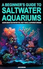 Beginner guide saltwater for sale  Delivered anywhere in USA 