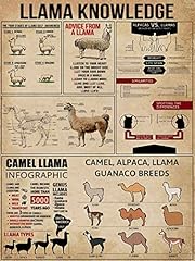 Llama knowledge metal for sale  Delivered anywhere in USA 