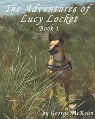 Adventures lucy locket for sale  Delivered anywhere in UK
