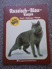 Russisch blau katzen gebraucht kaufen  Wird an jeden Ort in Deutschland