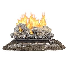 Pleasant Hearth VFL-VO24DR 24" Valley Oak Series Vent for sale  Delivered anywhere in USA 