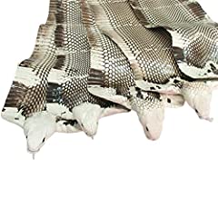 Cobra snake skin for sale  Delivered anywhere in USA 