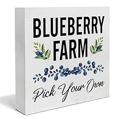 Farmhouse blueberry blueberrie for sale  Delivered anywhere in USA 