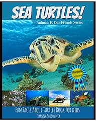 Sea turtles fun for sale  Delivered anywhere in USA 
