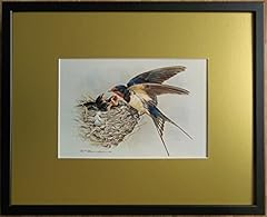 Framed mounted basil for sale  Delivered anywhere in UK