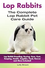 Lop rabbits lop for sale  Delivered anywhere in USA 