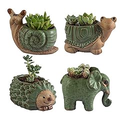 Small succulent pots for sale  Delivered anywhere in USA 
