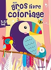 Gros livre coloriage d'occasion  Livré partout en France
