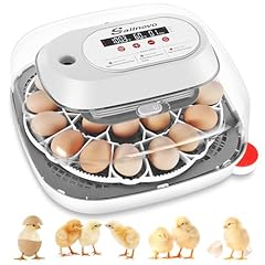 Sailnovo egg incubators for sale  Delivered anywhere in USA 