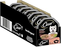 Cesar cibo umido usato  Spedito ovunque in Italia 