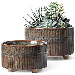 Tauci succulent pots for sale  Delivered anywhere in USA 