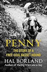 Penny the story gebraucht kaufen  Wird an jeden Ort in Deutschland