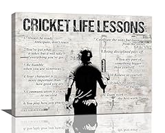 Gyeong cricket sports for sale  Delivered anywhere in UK