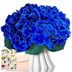 Snailgarden fleurs hortensia d'occasion  Livré partout en France