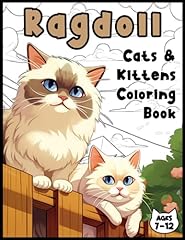 Ragdoll cats kittens for sale  Delivered anywhere in USA 