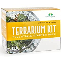 Plant terrarium kit for sale  Delivered anywhere in Ireland