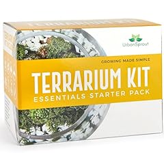 Plant terrarium kit for sale  Delivered anywhere in UK