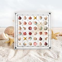 Acrylic seashell display for sale  Delivered anywhere in UK