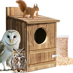 Screech barn owl for sale  Delivered anywhere in USA 