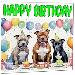 Staffordshire bull terrier usato  Spedito ovunque in Italia 