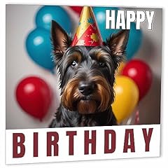 Scottish terrier birthday for sale  Delivered anywhere in UK