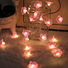 Auting led lichterkette gebraucht kaufen  Wird an jeden Ort in Deutschland