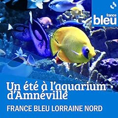 Aquarium amnéville bleu d'occasion  Livré partout en France