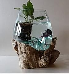 Petit aquarium vase d'occasion  Livré partout en France