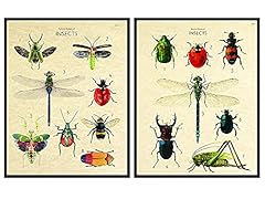 Bee wall decor for sale  Delivered anywhere in USA 