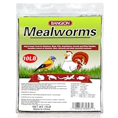 Bangion dried mealworms for sale  Delivered anywhere in USA 