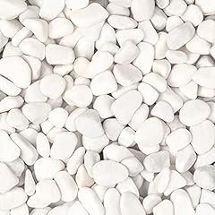 Ausluru 5lbs white for sale  Delivered anywhere in USA 