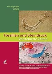 Fossilien steindruck versteine gebraucht kaufen  Wird an jeden Ort in Deutschland